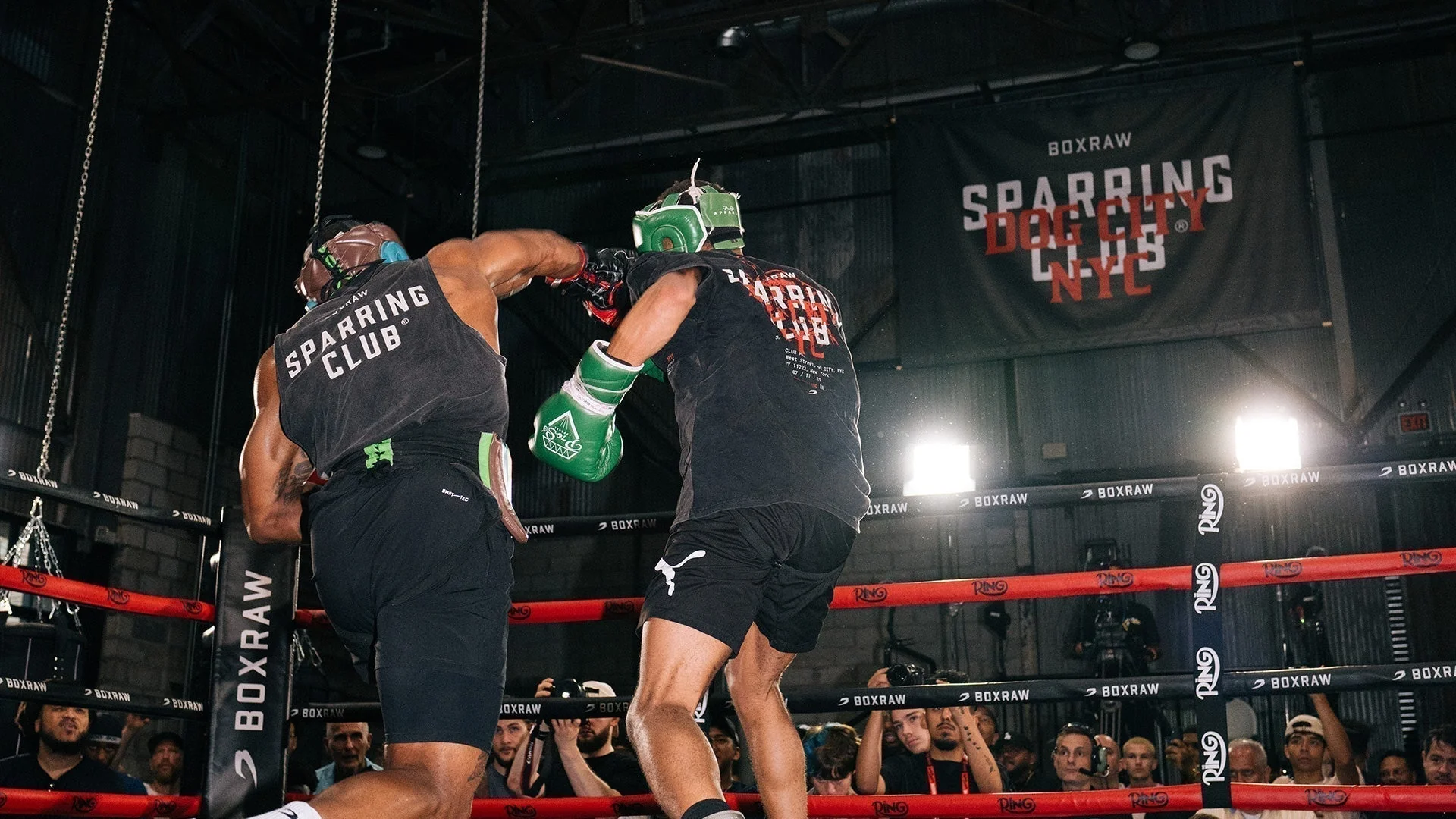 Boxeraw Sparing Club Dog City Ciudad de Nueva York