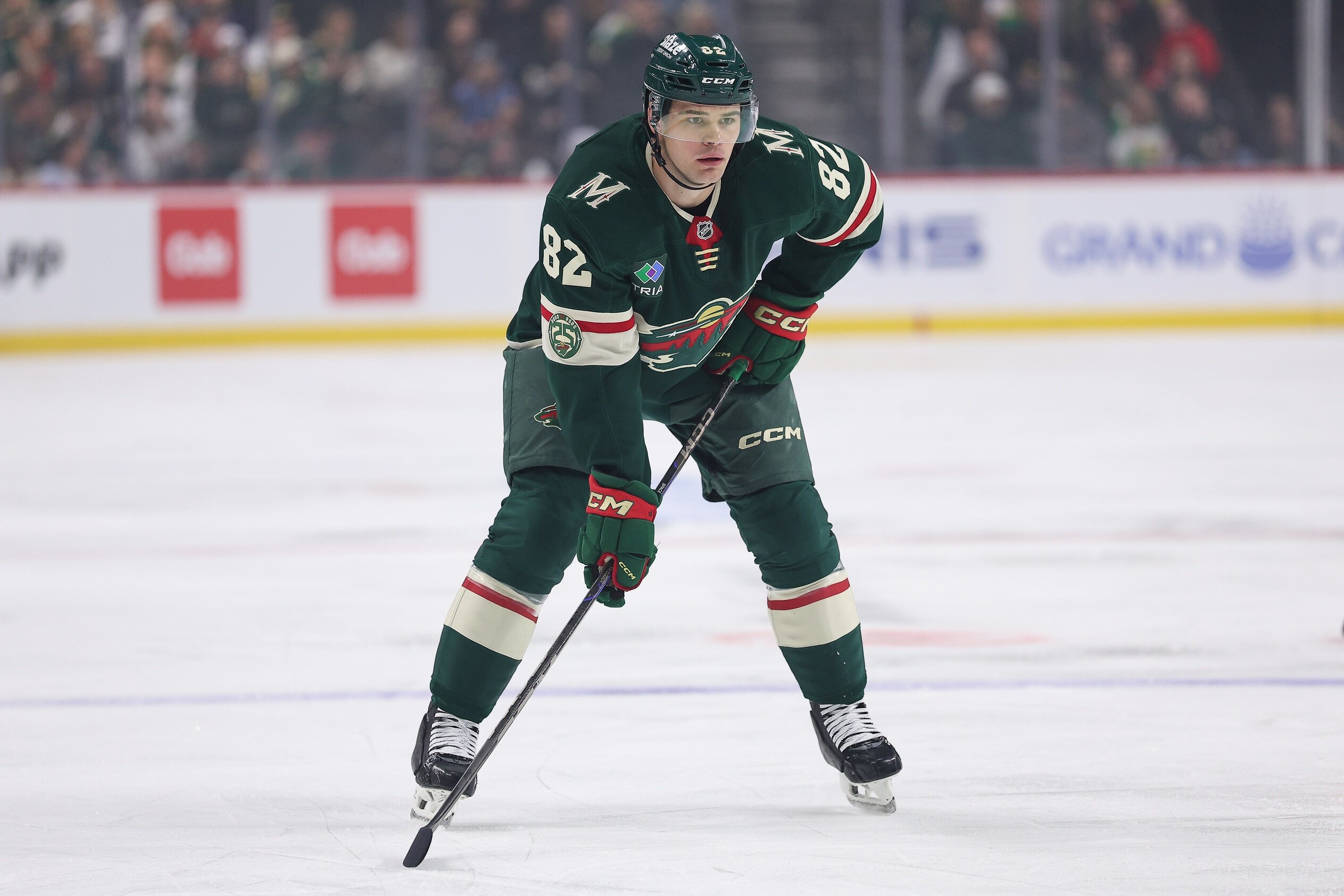 David Spacek tiene un nombre muy conocido y una profesión no especificada: Minnesota Wild