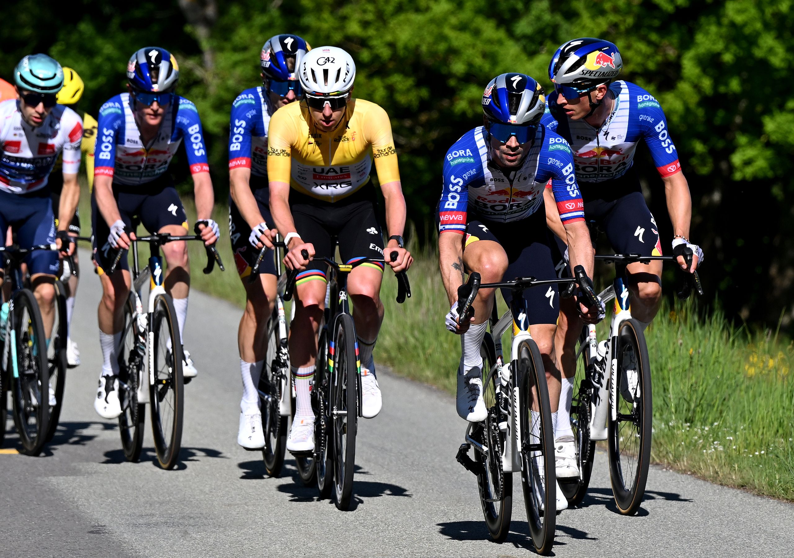 Primož Roglič se enfrenta a Tadej Pogačar en el Tour de Suiza para conseguir una racha completa de títulos generales en las siete principales carreras ciclistas de una semana