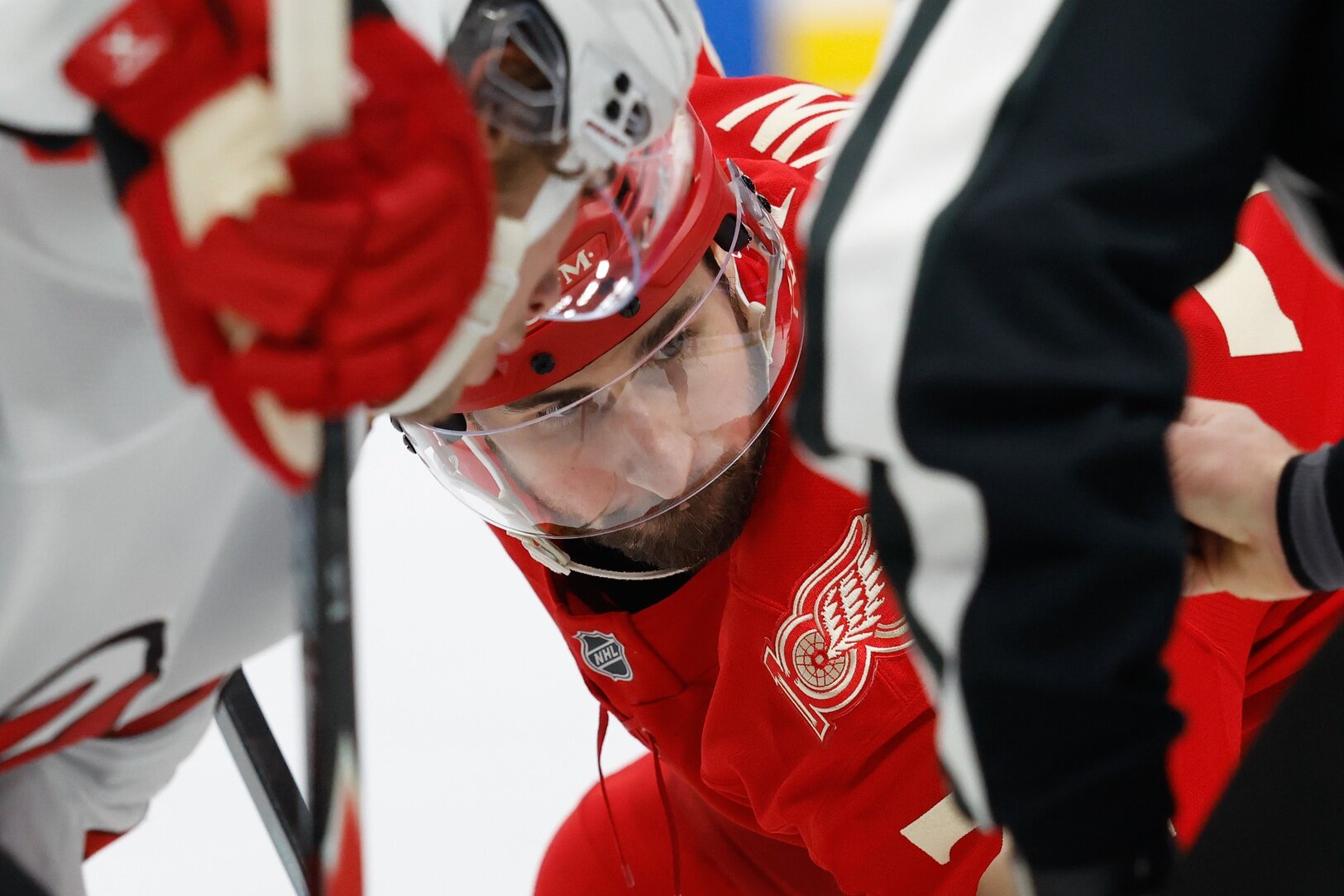 Wilderness no tiene suficiente para aterrizar en Dylan Larkin - Wilderness Walk